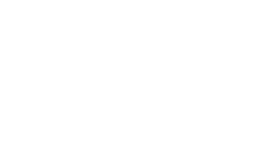 Antonee logo